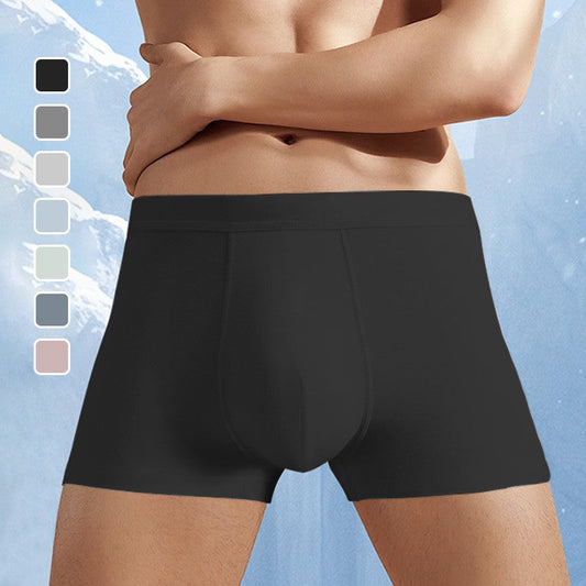 ✨Men's Large Size Ice Silk Breathable Briefs