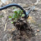 New Weeding Artifact Uprooting Weeding Tool