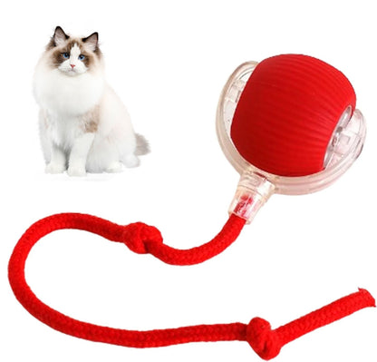 🔥Christmas Hot Sale 49% OFF 🎁Pet Spin Kit